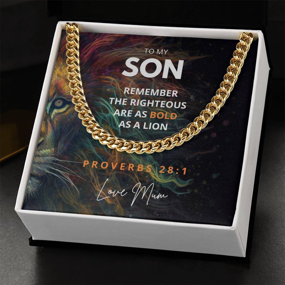 To My Son - Stainless Steel  Curb Chain - Proverb Lion Message Card Gift For Birthday / Christmas
